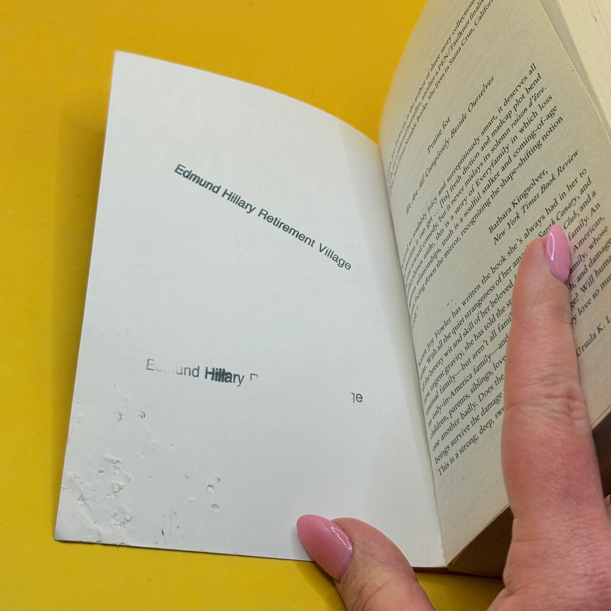 We Are All Completely Beside Ourselves by Karen Joy Fowler
