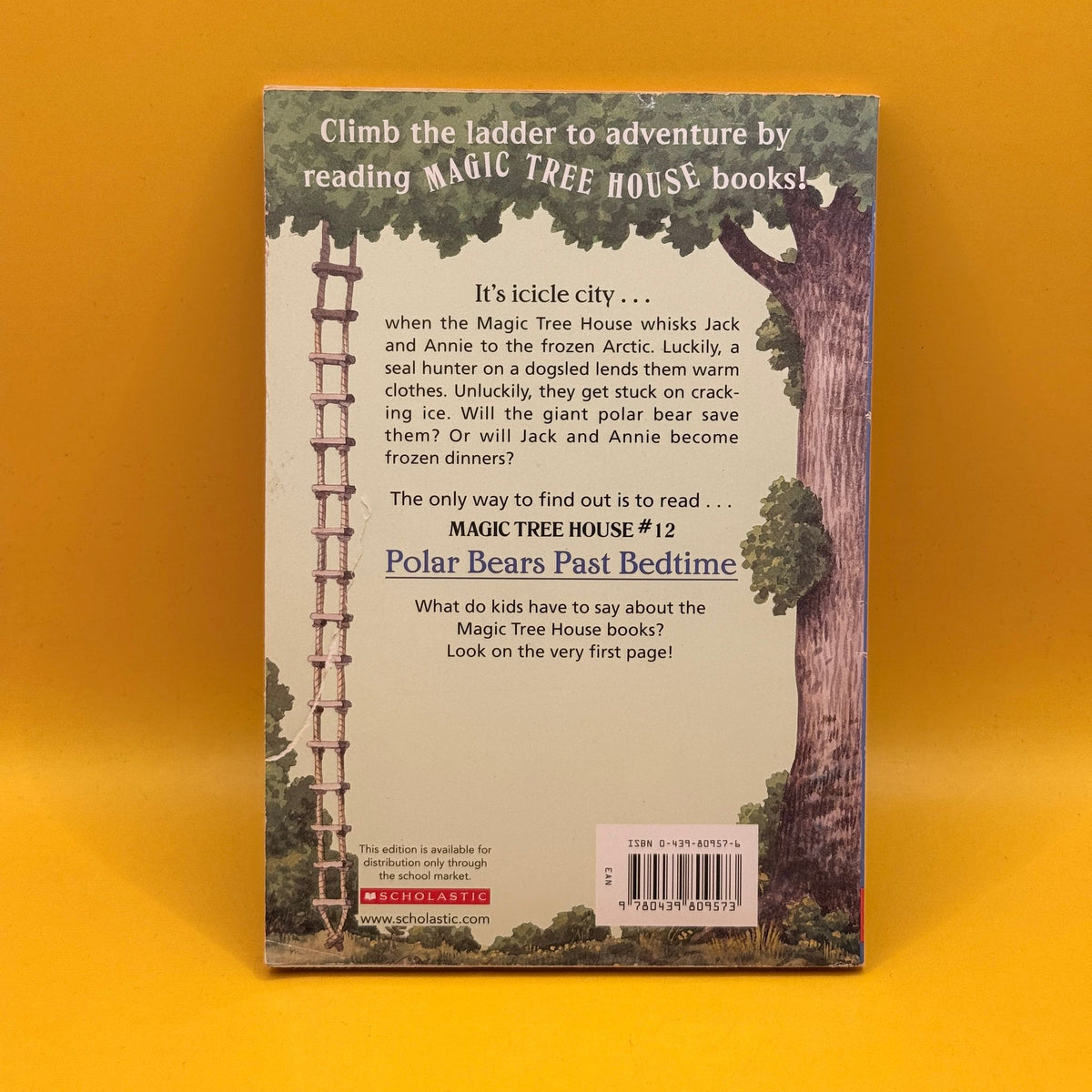 Magic Tree House: Polar Bears Past Bedtime by Mary Pope Osborne