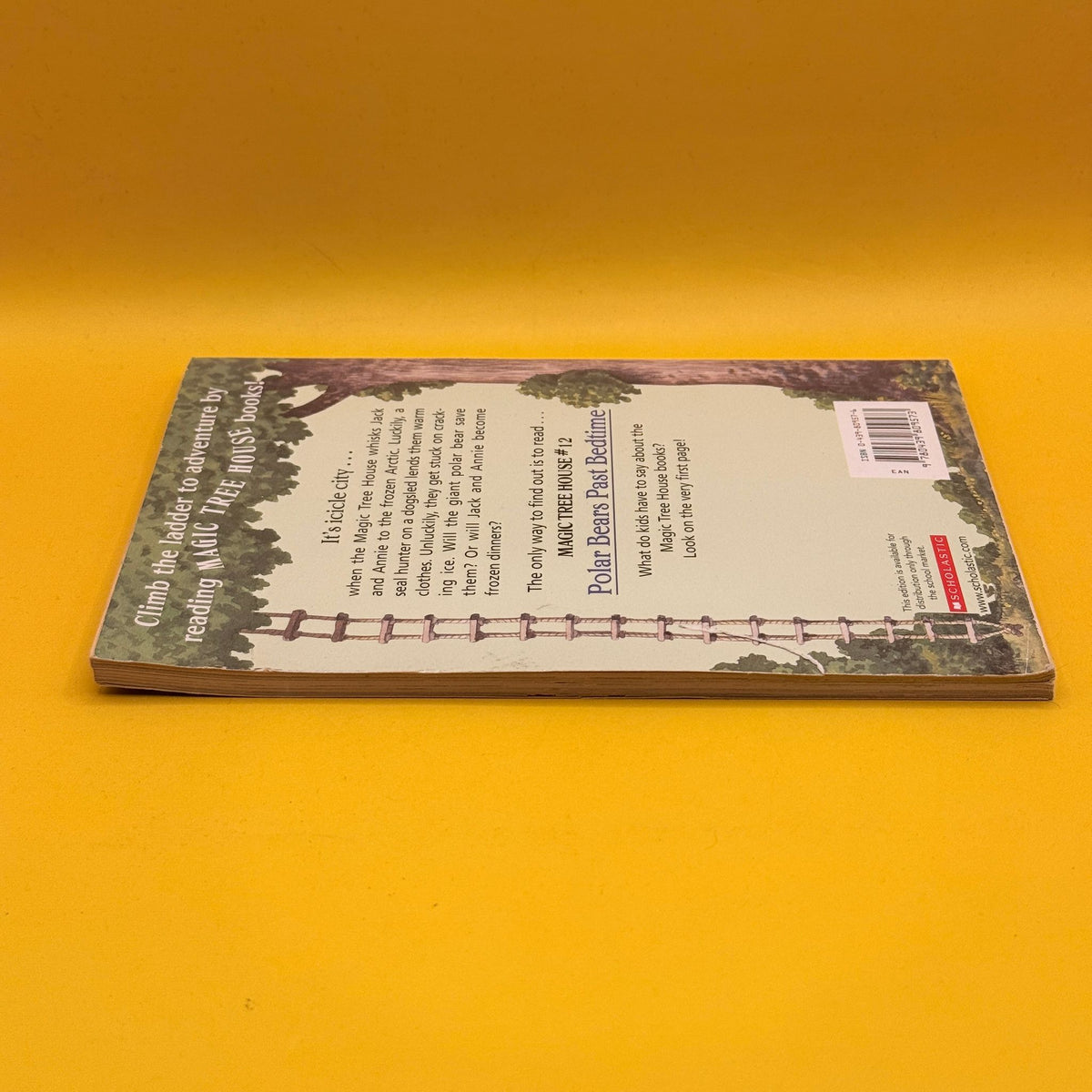 Magic Tree House: Polar Bears Past Bedtime by Mary Pope Osborne