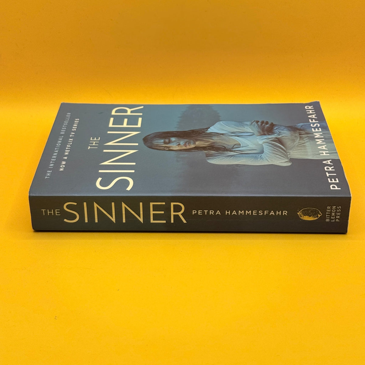 The Sinner by Petra Hammesfahr