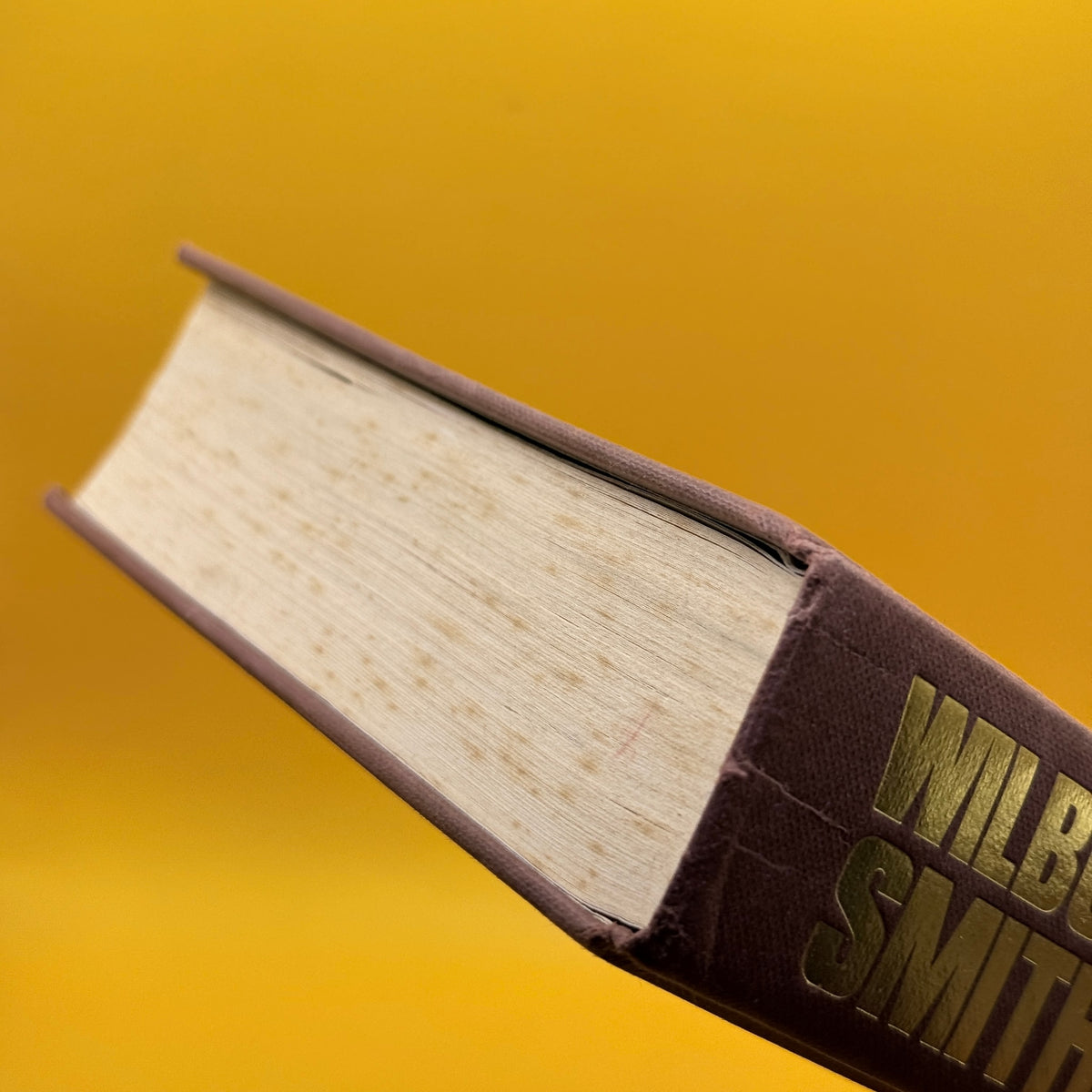 Golden Fox by Wilbur Smith (1990)