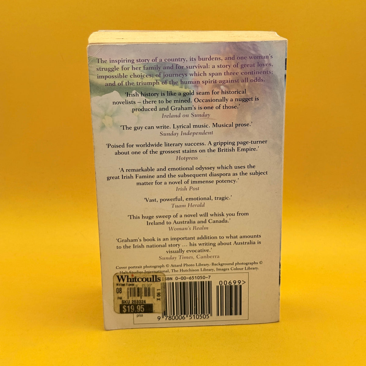 The Whitest Flower by Brendan Graham