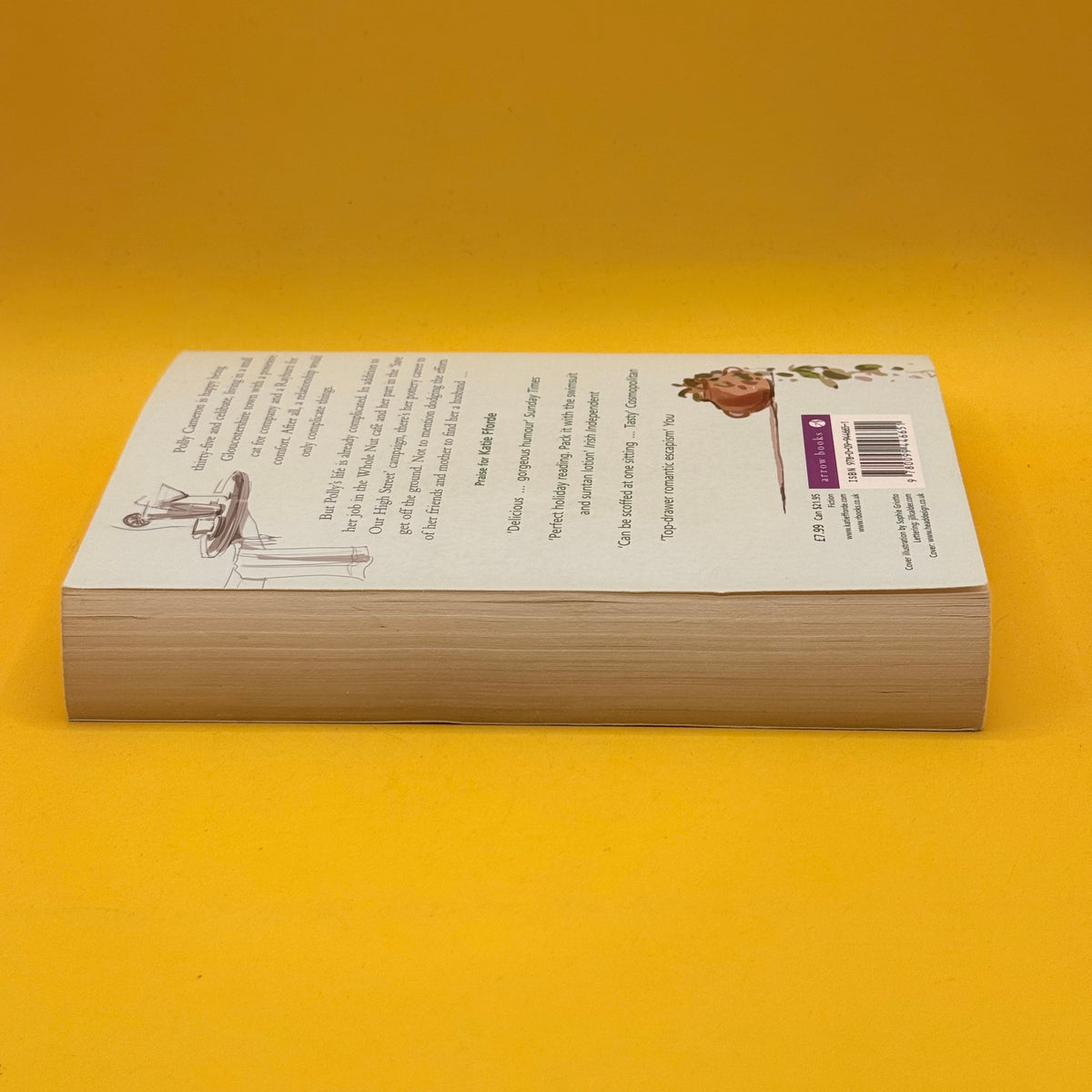 Living Dangerously by Katie Fforde