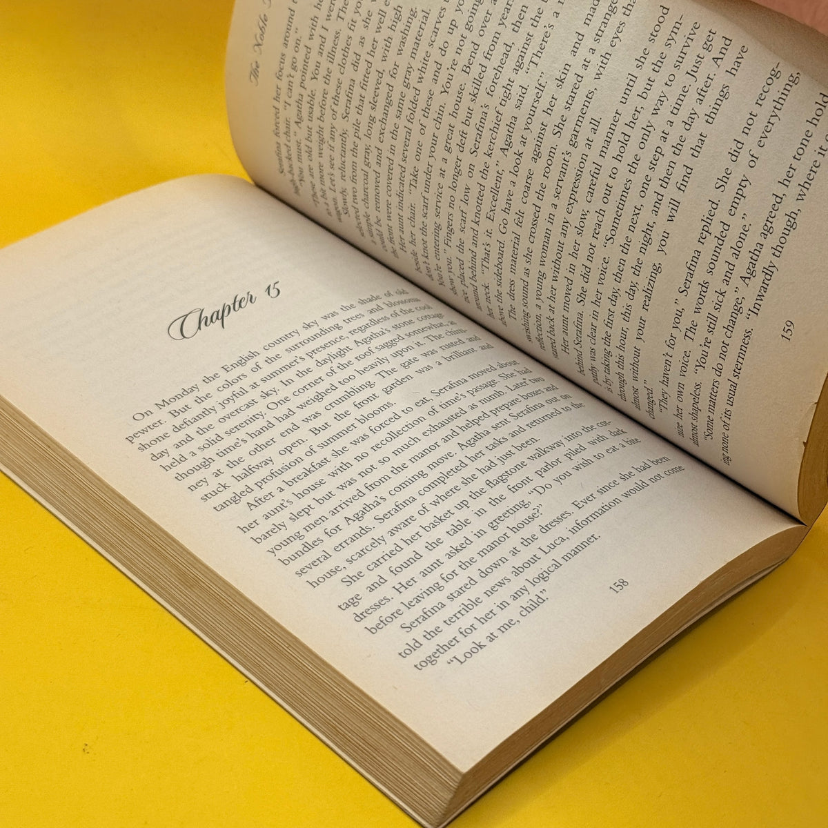 The Noble Fugitive by T. Davis Bunn and Isabella Bunn