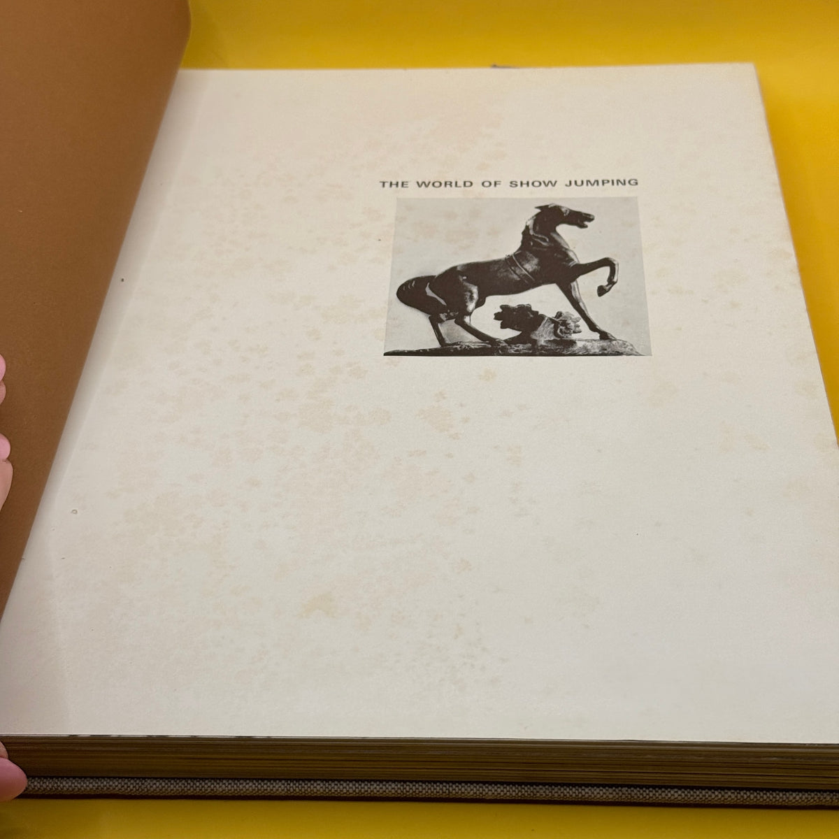 The World of Show Jumping by Neil ffrench Blake