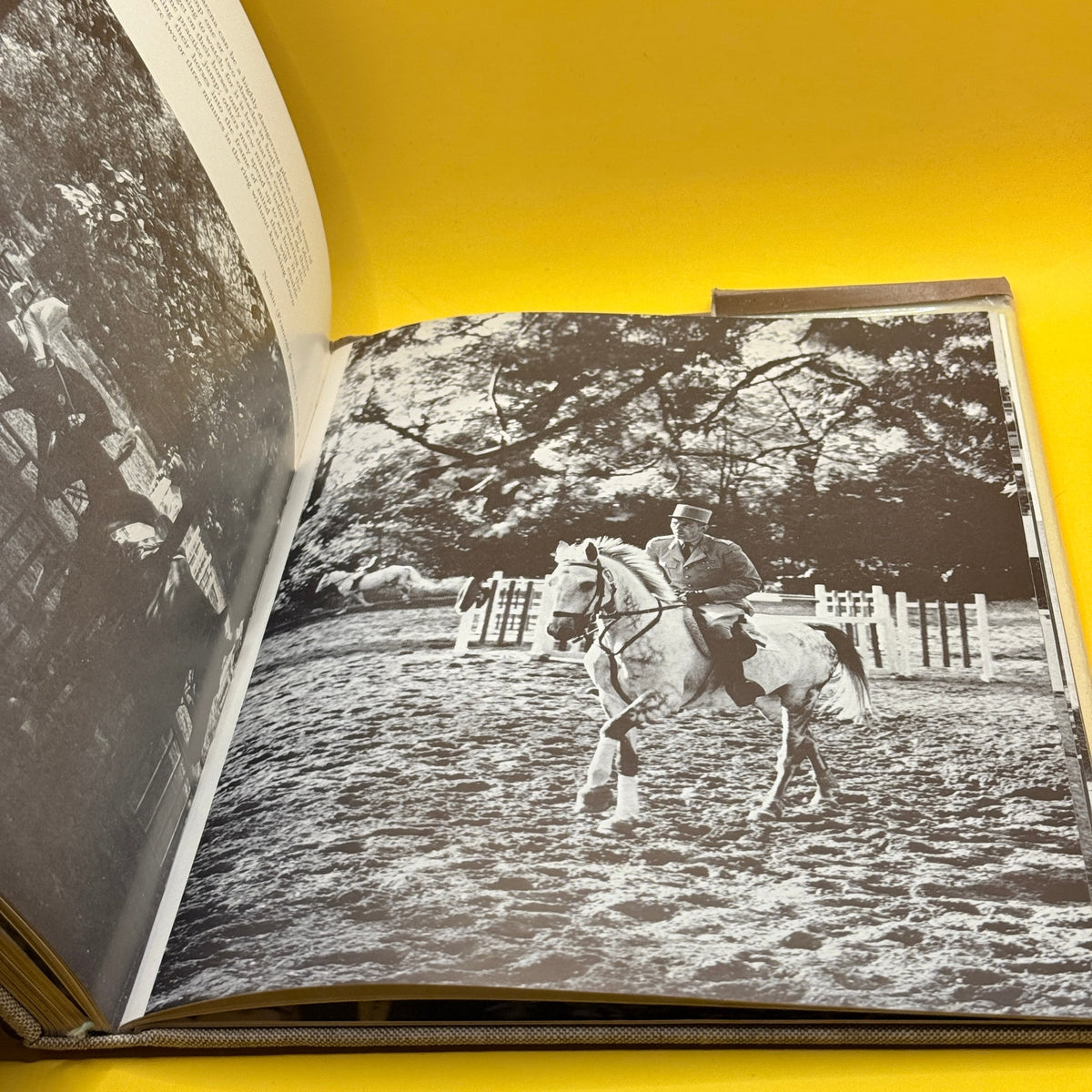 The World of Show Jumping by Neil ffrench Blake
