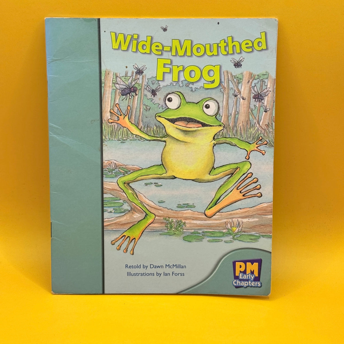 Wide-Mouthed Frog by Dawn McMillan