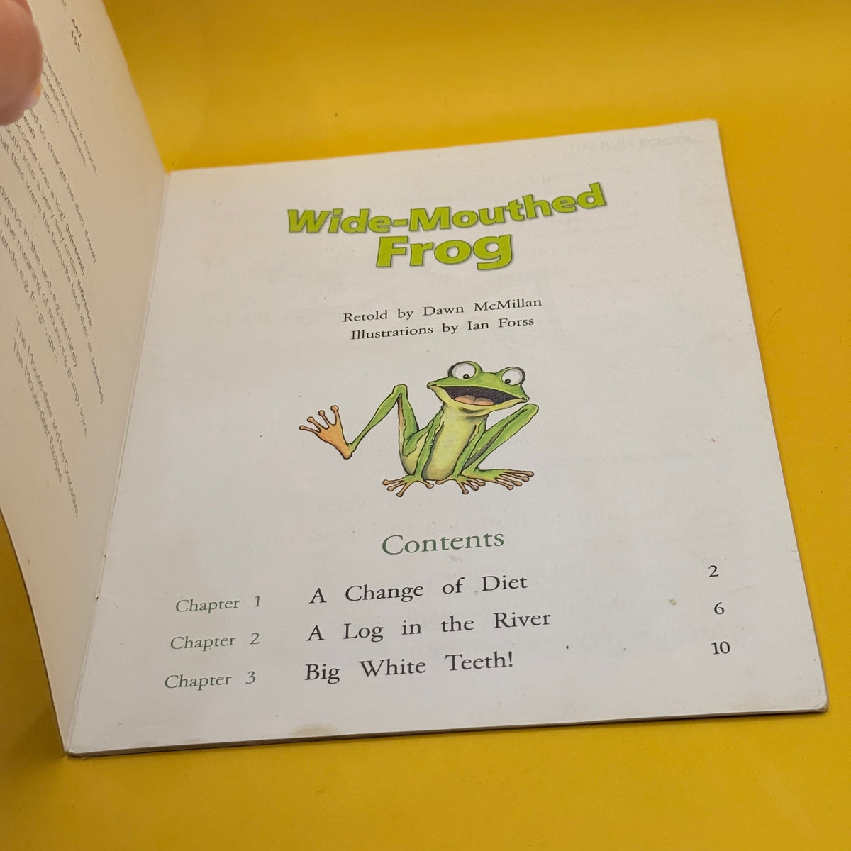 Wide-Mouthed Frog by Dawn McMillan