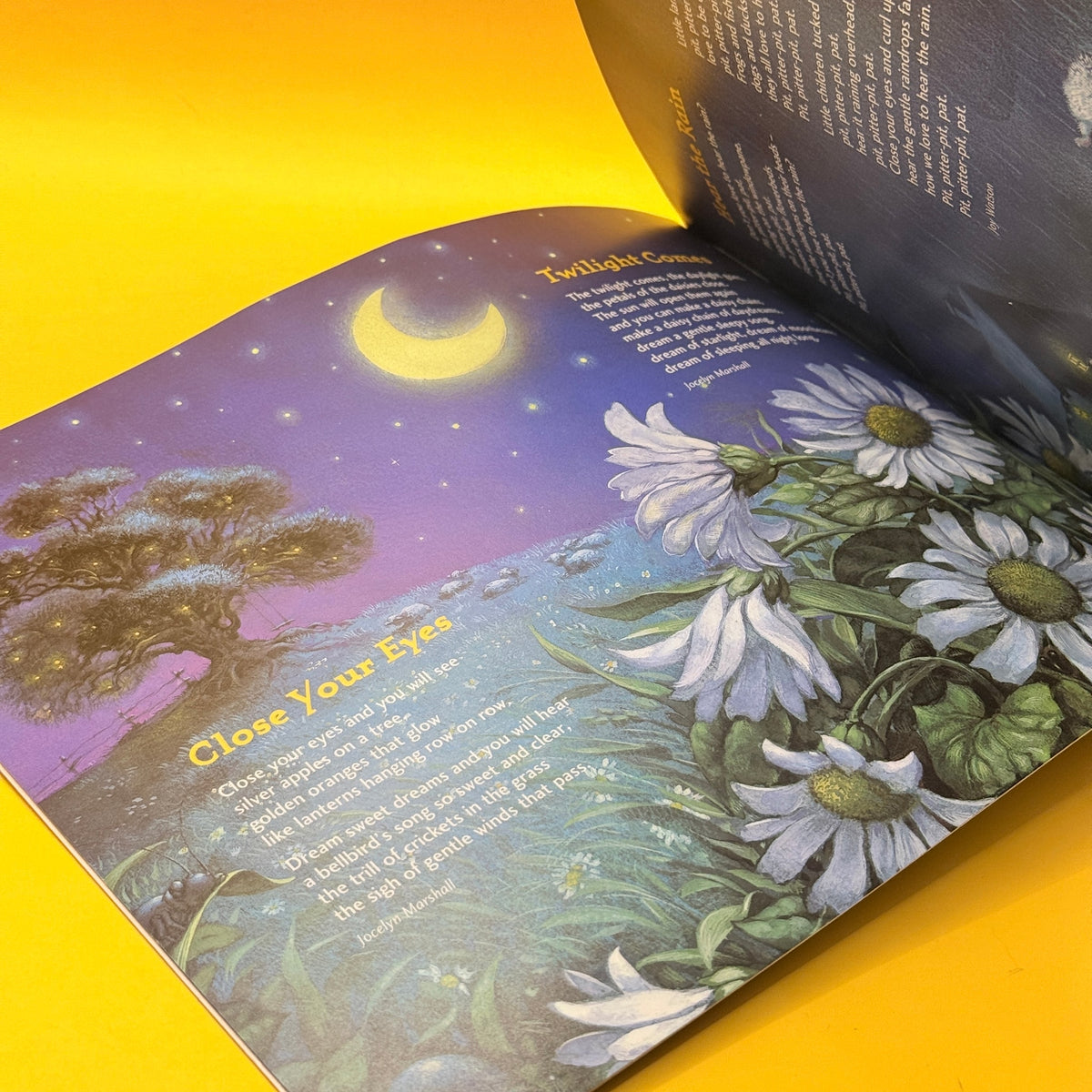 A Book of Pacific Lullabies by Tessa Duder