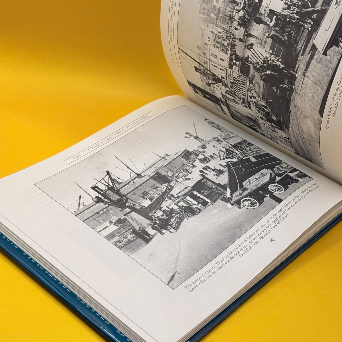 The Pioneers of Port Nicholson by David McGill (1984)