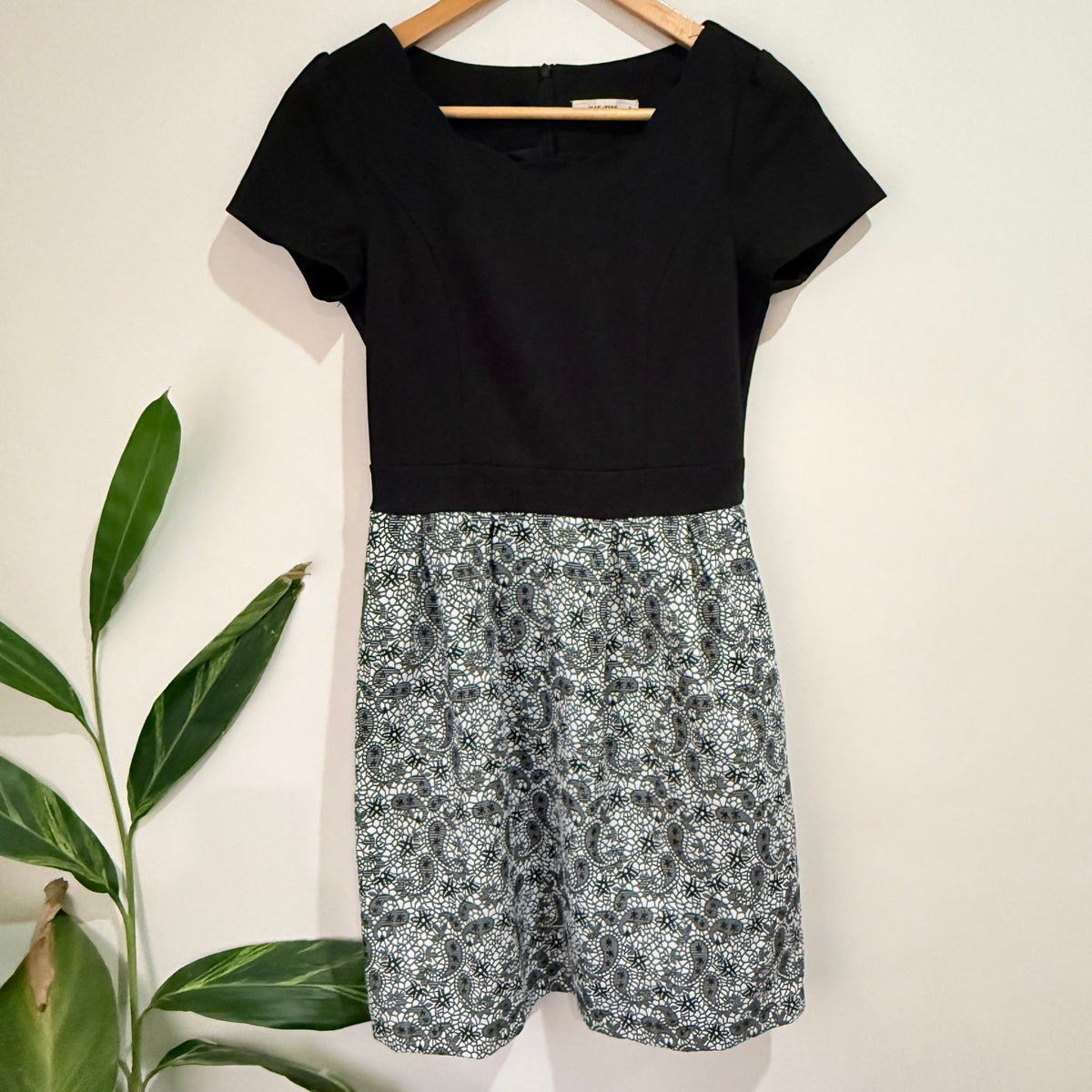 Max-Tino Size S | U/Arm to U/Arm 36cm Lace Print Dress
