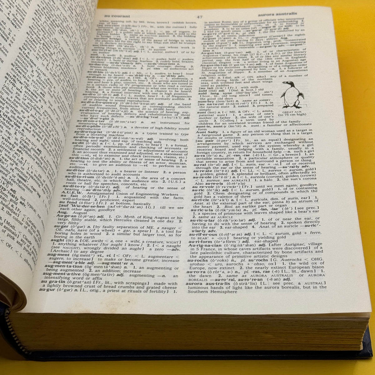 Collins Concise English Dictionary by Collins 1978