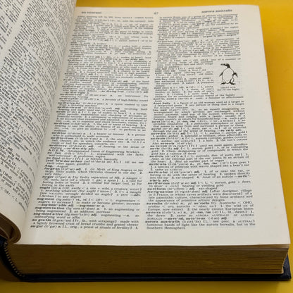 Collins Concise English Dictionary by Collins 1978
