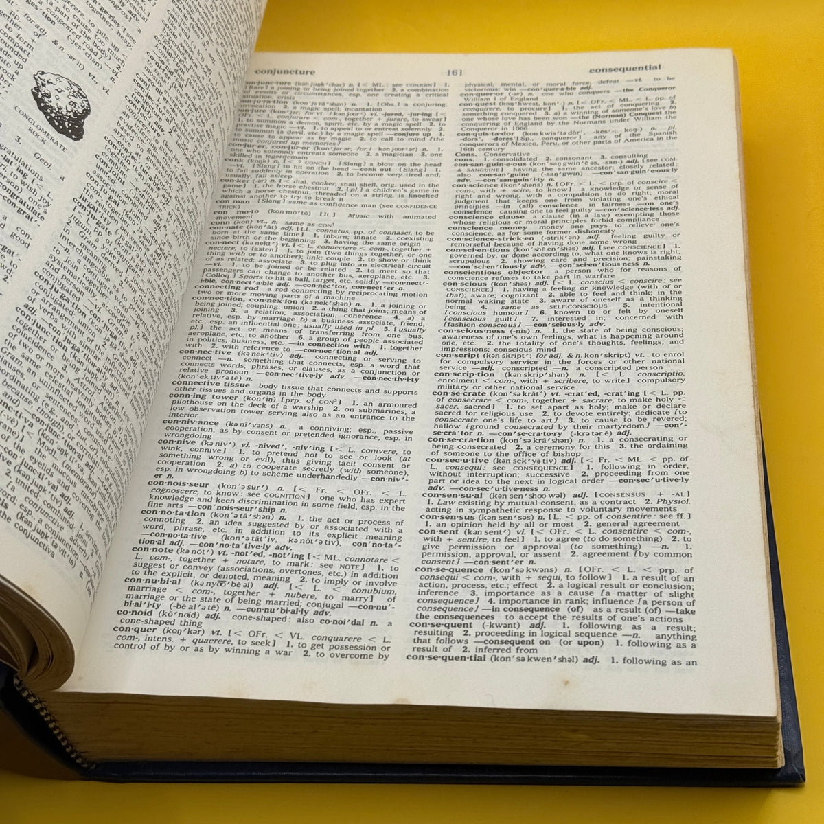 Collins Concise English Dictionary by Collins 1978