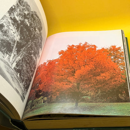The Lansdowne Complete Book of Gardening by Lansdowne Press 1985