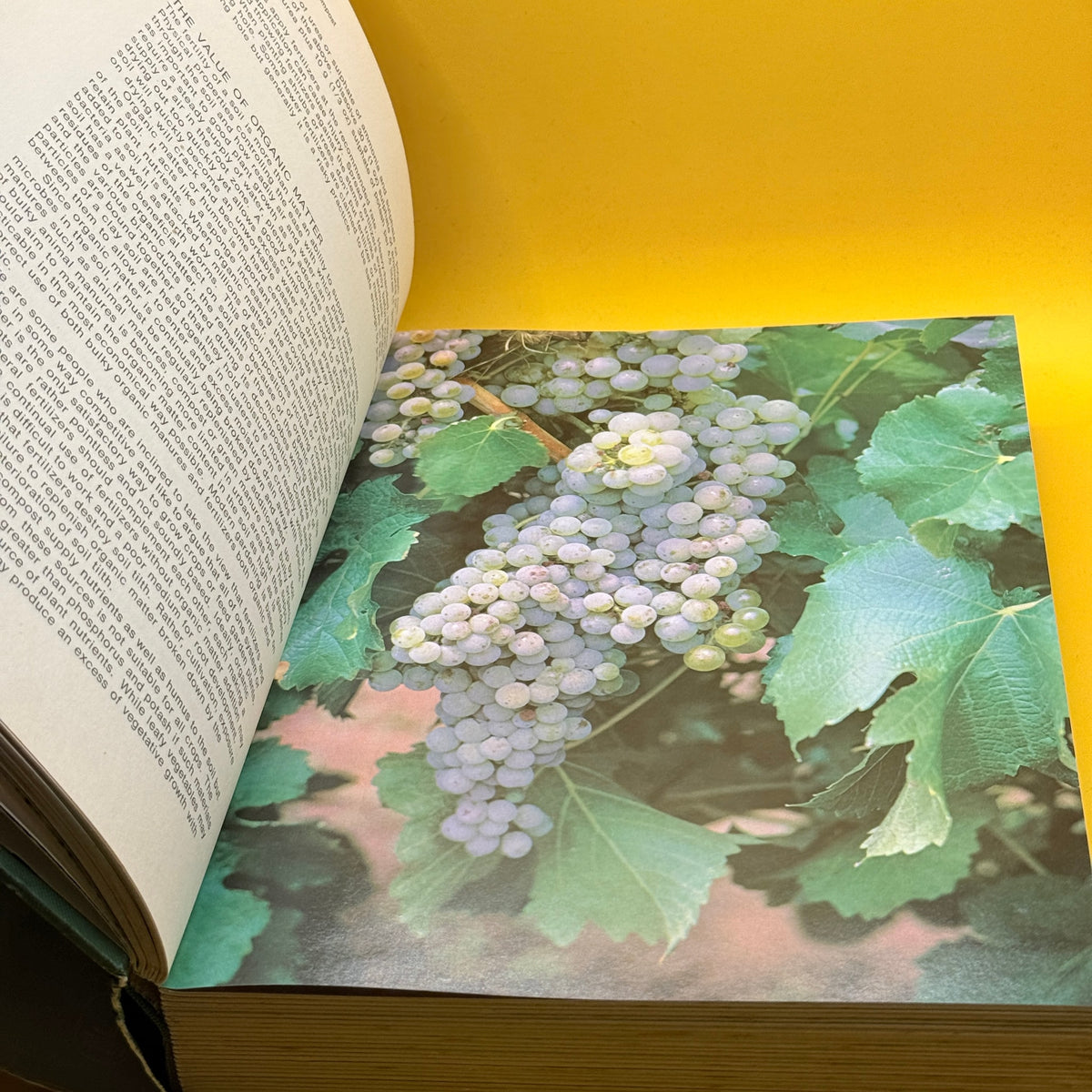 The Lansdowne Complete Book of Gardening by Lansdowne Press 1985