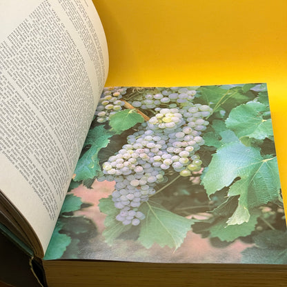 The Lansdowne Complete Book of Gardening by Lansdowne Press 1985
