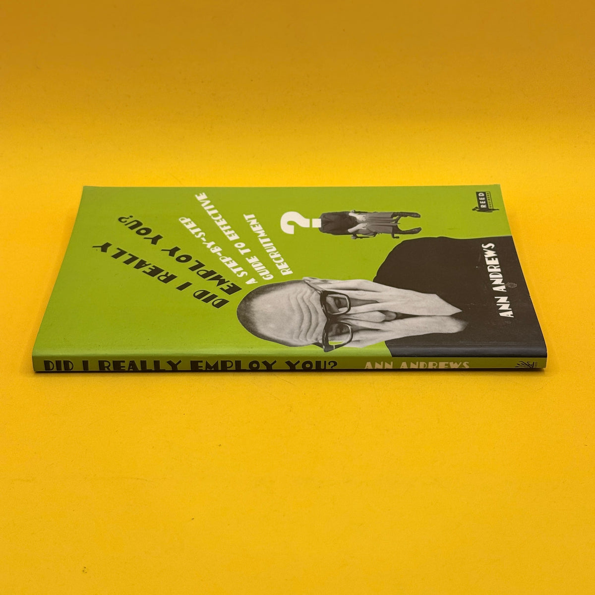 Did I Really Employ You? A Step-by-Step Guide to Effective Recruitment by Ann Andrews