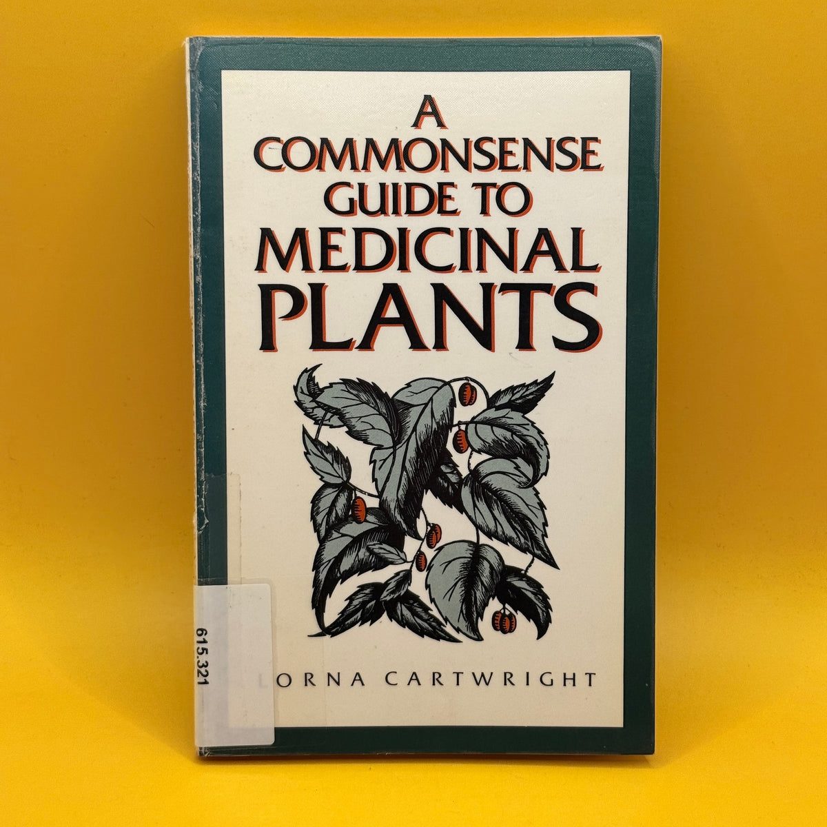 A Commonsense Guide to Medicinal Plants by Lorna Cartwright 1985