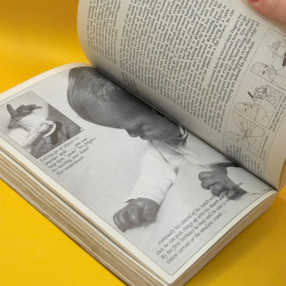 Baby & Child: From Birth to Age Five by Penelope Leach
