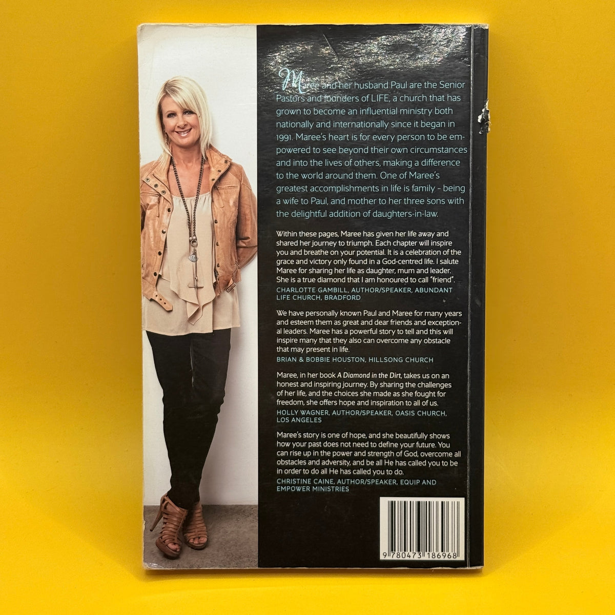 A Diamond in the Dirt by Maree de Jong
