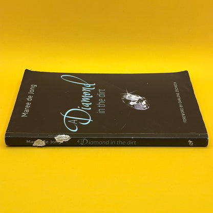A Diamond in the Dirt by Maree de Jong