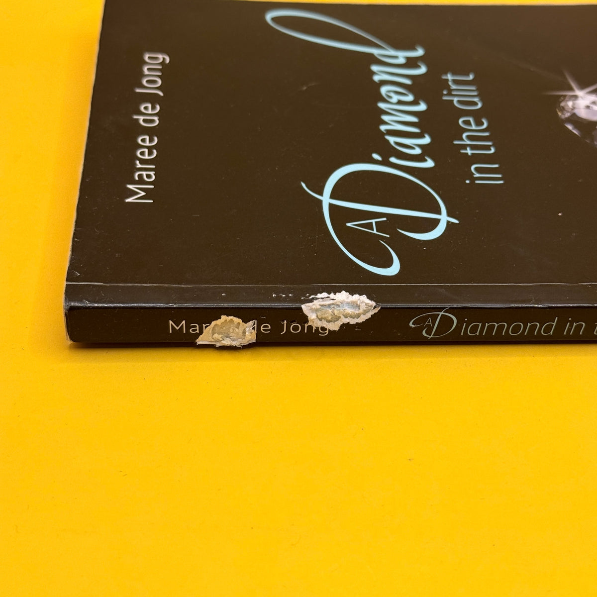 A Diamond in the Dirt by Maree de Jong