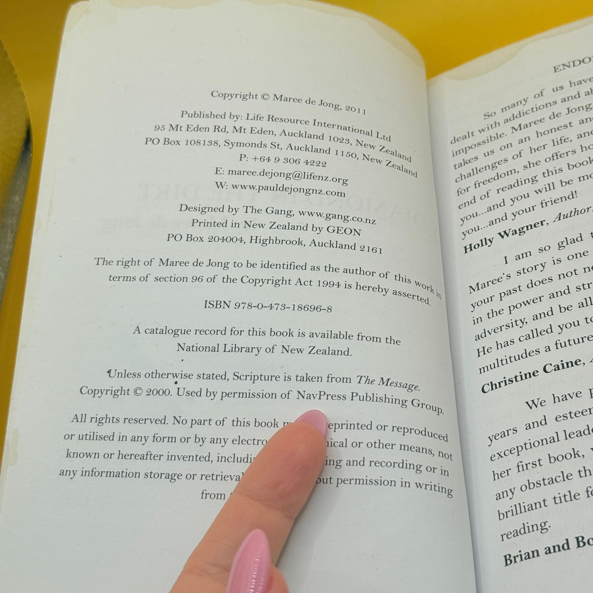 A Diamond in the Dirt by Maree de Jong