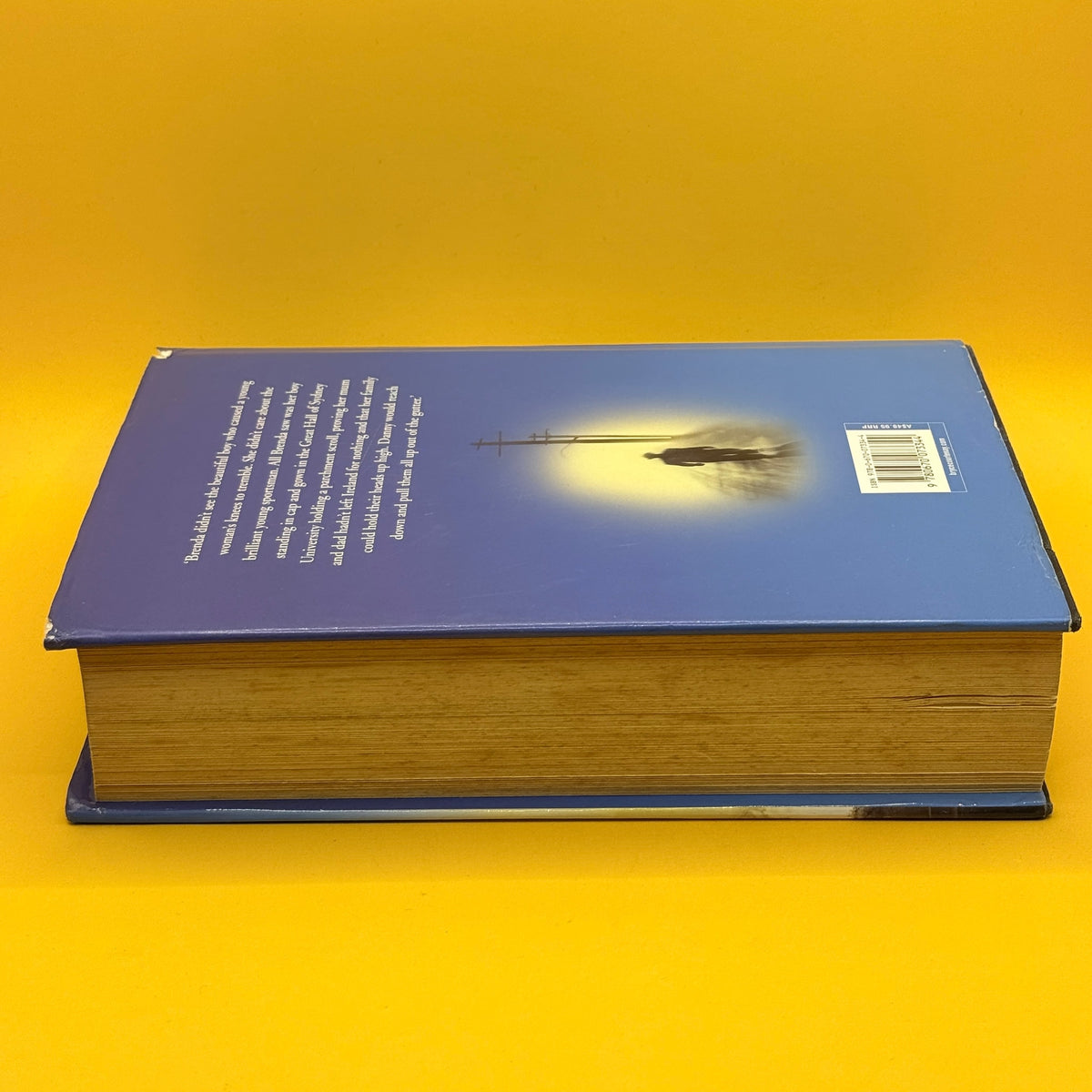 The Story of Danny Dunn by Bryce Courtenay First Edition