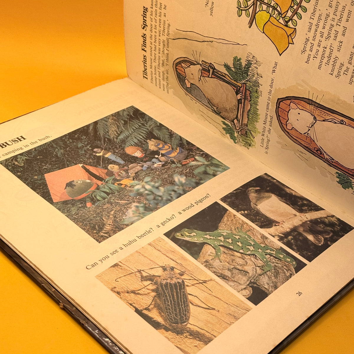 The Play School Book by Anne Garden 1983