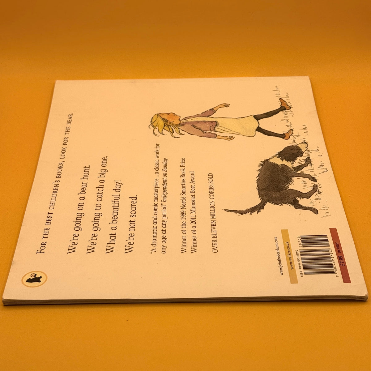We're Going on a Bear Hunt by Michael Rosen