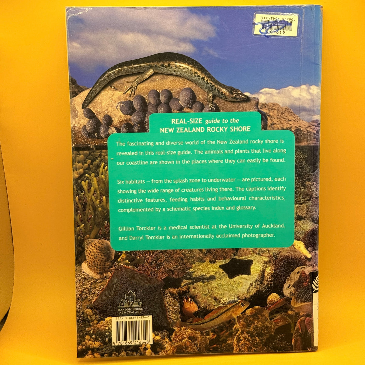 Real-Size Guide to the New Zealand Rocky Shore by Gillian and Darryl Torckler