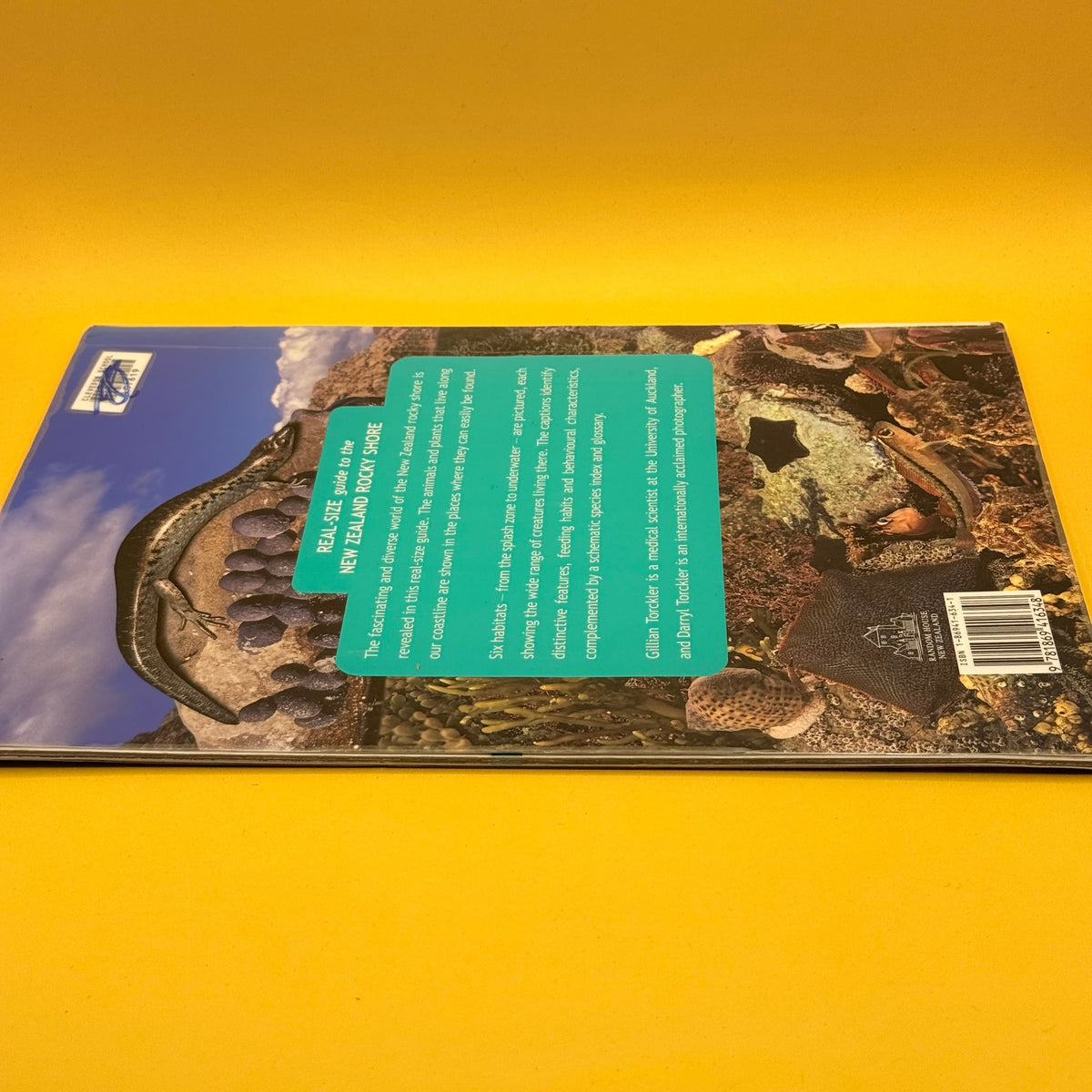 Real-Size Guide to the New Zealand Rocky Shore by Gillian and Darryl Torckler