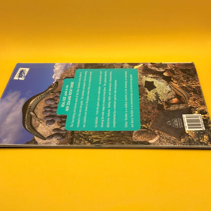 Real-Size Guide to the New Zealand Rocky Shore by Gillian and Darryl Torckler