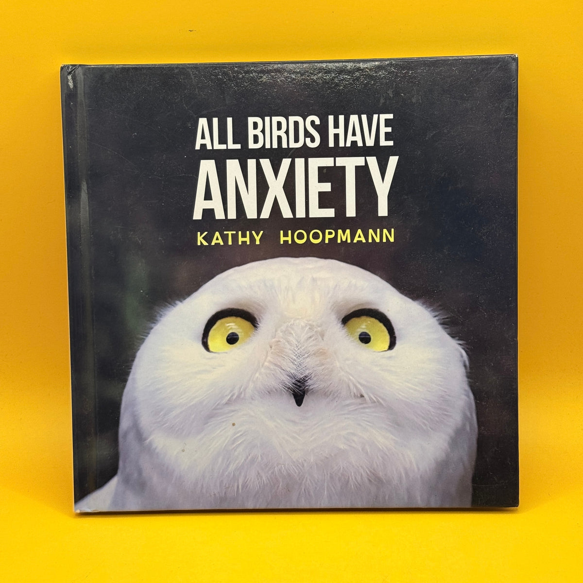 All Birds Have Anxiety by Kathy Hoopmann