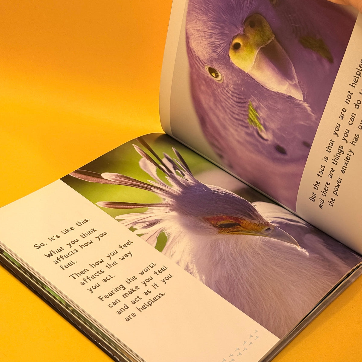 All Birds Have Anxiety by Kathy Hoopmann