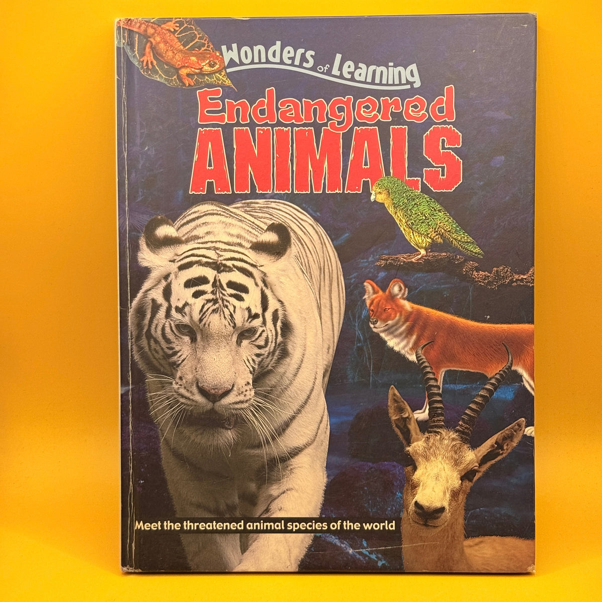 Wonders of Learning: Endangered Animals by Robert Frederick