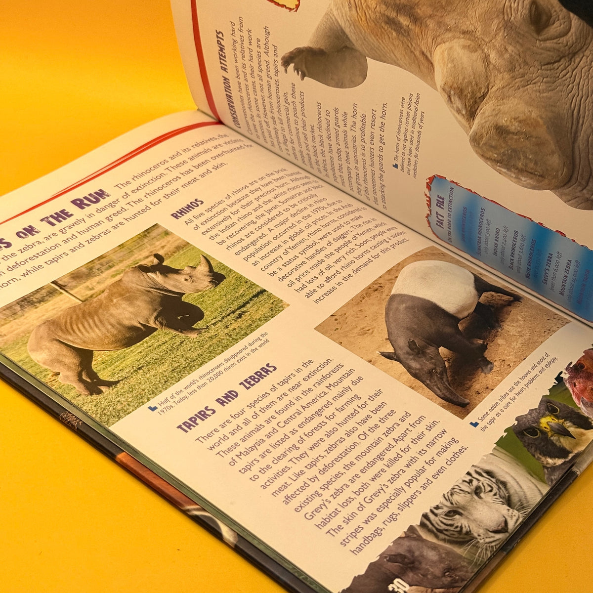 Wonders of Learning: Endangered Animals by Robert Frederick