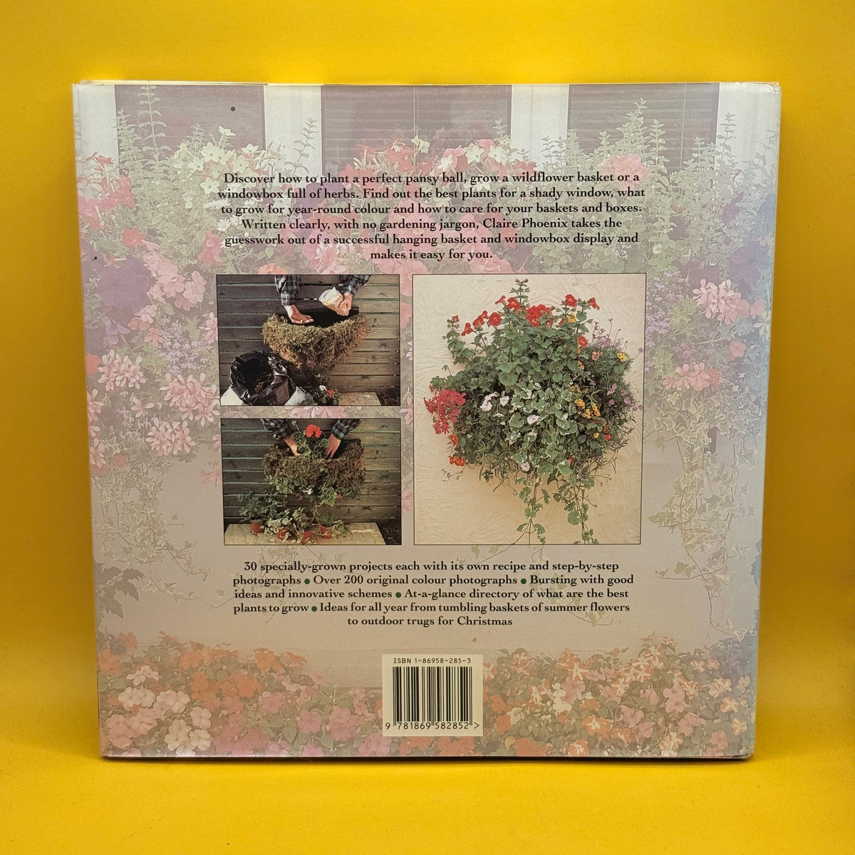 Windowboxes and Hanging Baskets by Claire Phoenix