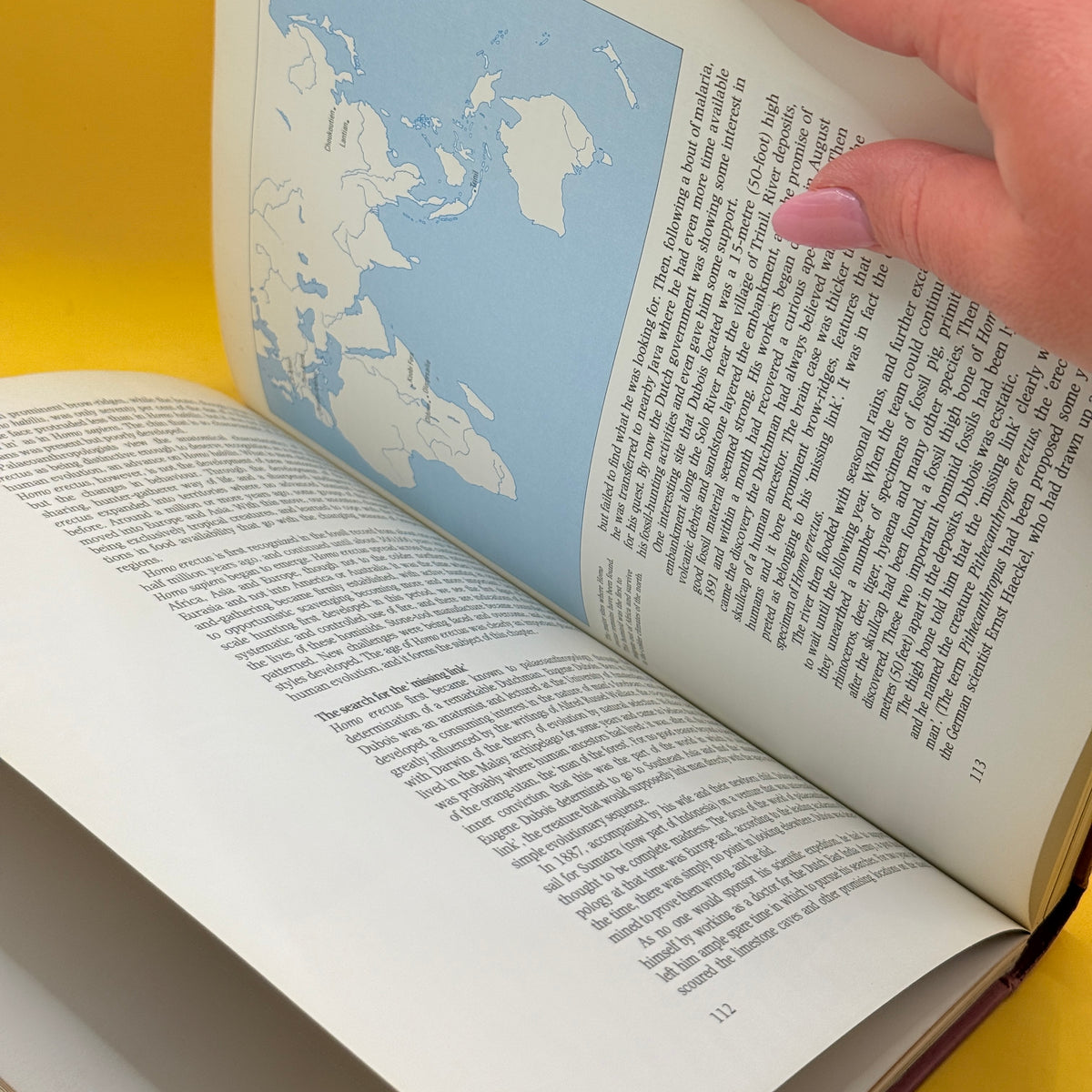The Making of Mankind by Richard E. Leakey (1981)