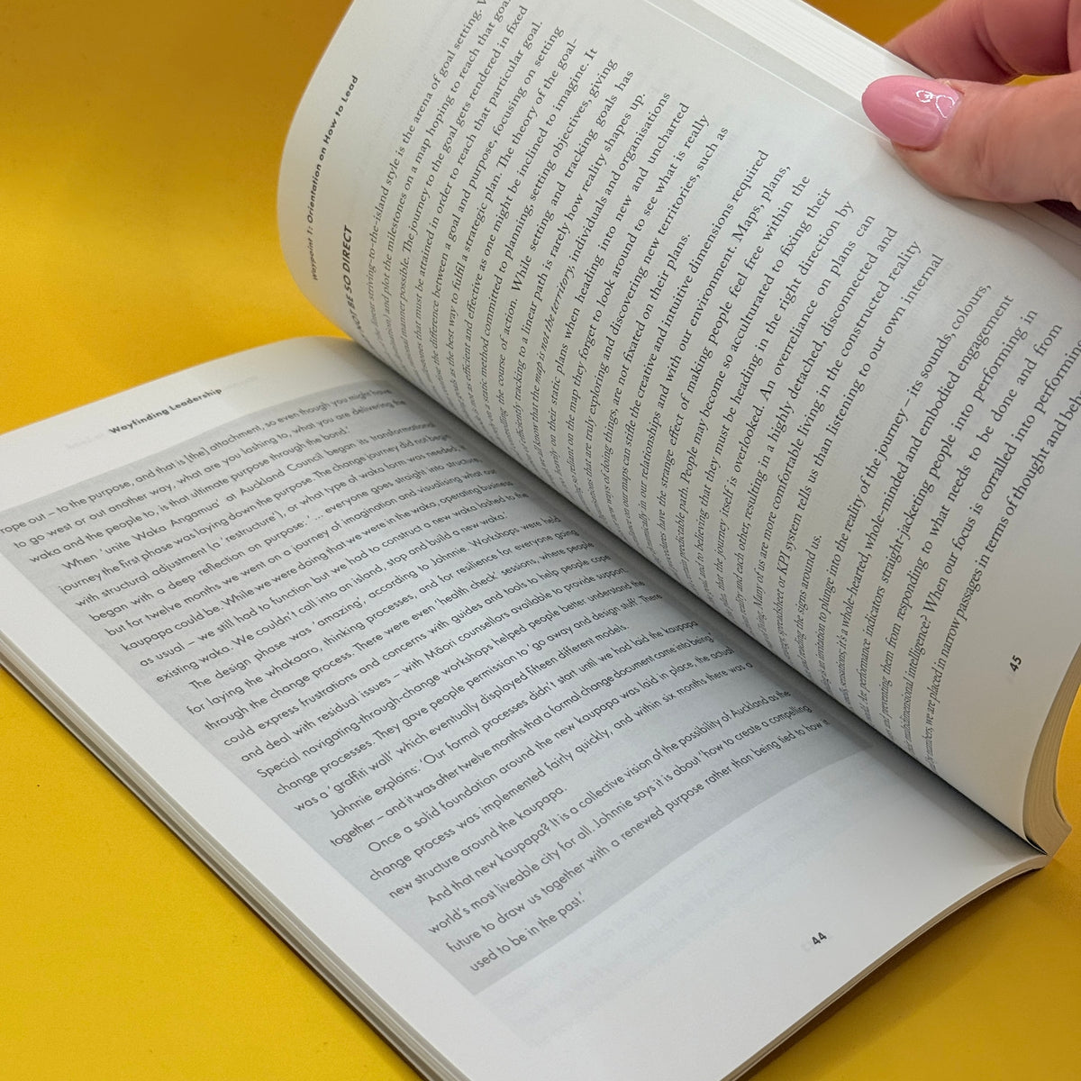 Wayfinding Leadership: Ground-breaking Wisdom for Developing Leaders by Chellie Spiller, Hoturoa Barclay-Kerr and John Panoho