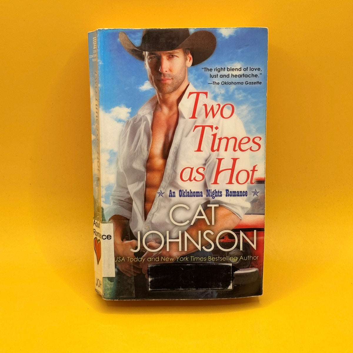 Two Times as Hot by Cat Johnson