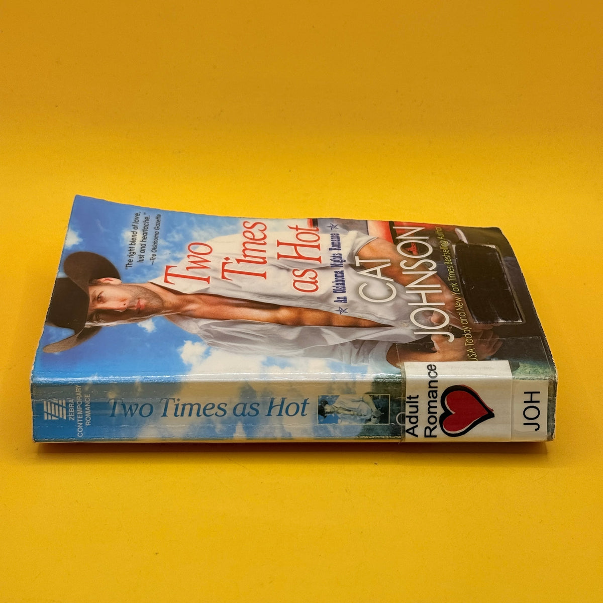 Two Times as Hot by Cat Johnson