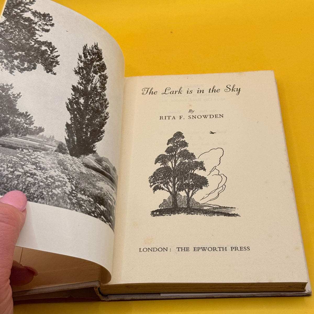 The Lark Is in the Sky by Rita F. Snowden (1949)