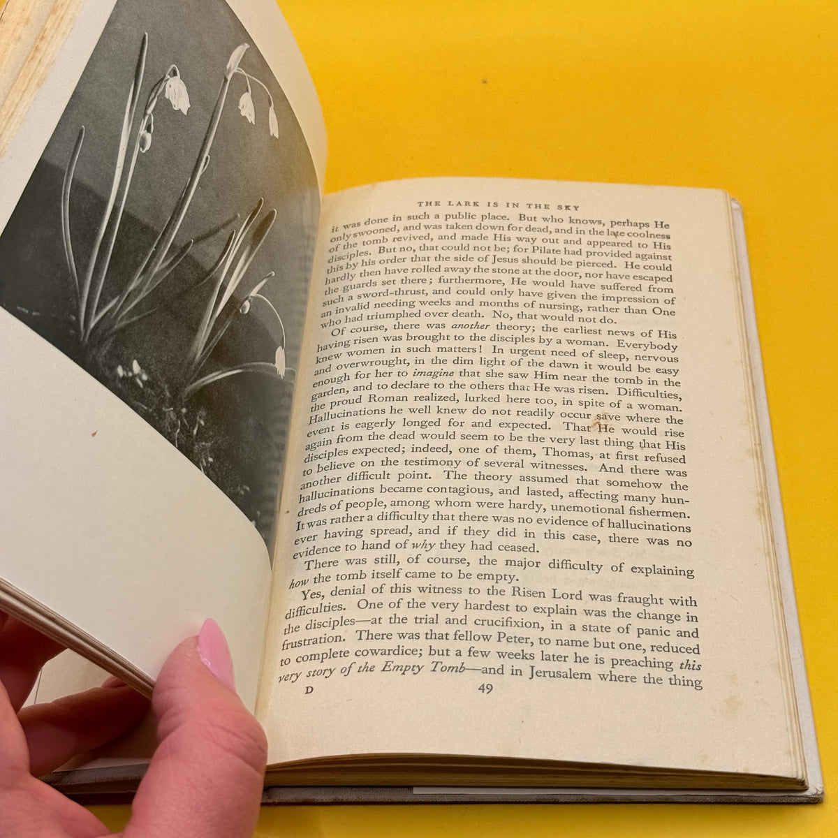 The Lark Is in the Sky by Rita F. Snowden (1949)