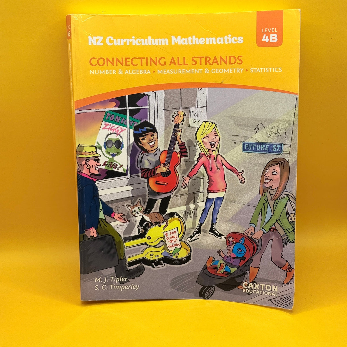NZ Curriculum Mathematics: Connecting All Strands, Level 4B by M. J. Tipler and S. C. Timperley