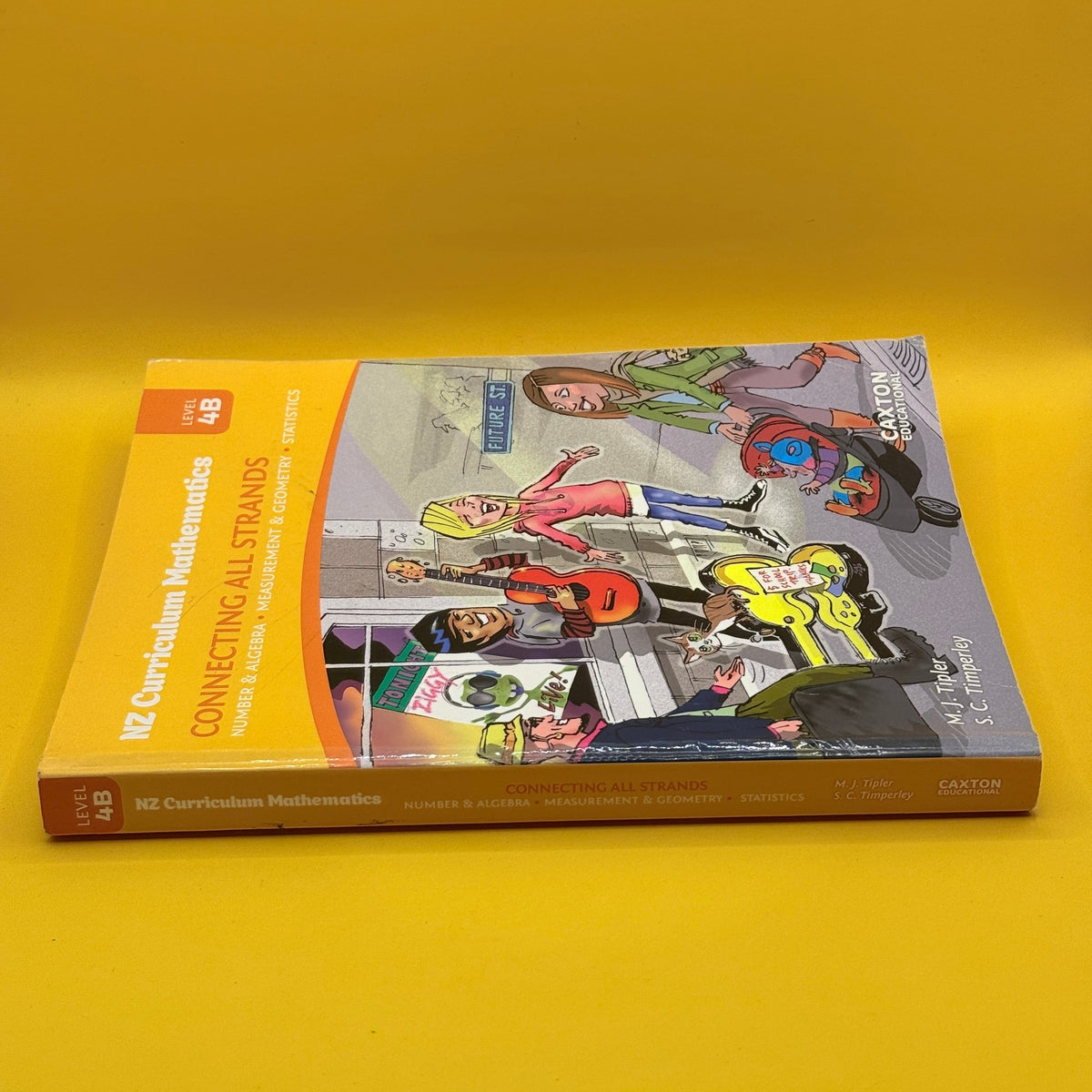 NZ Curriculum Mathematics: Connecting All Strands, Level 4B by M. J. Tipler and S. C. Timperley