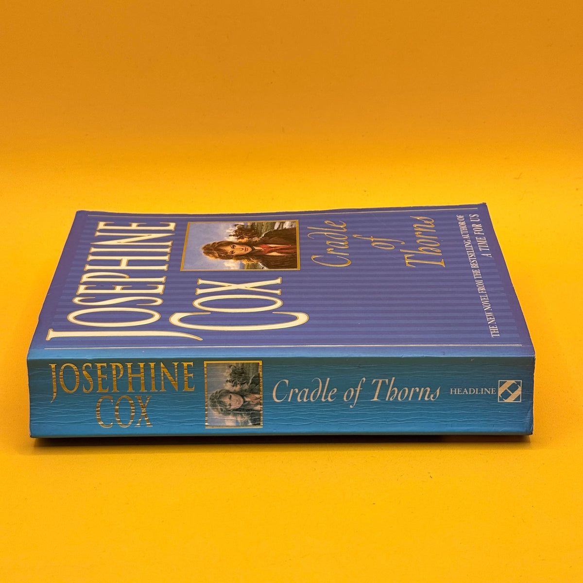 Cradle of Thorns by Josephine Cox