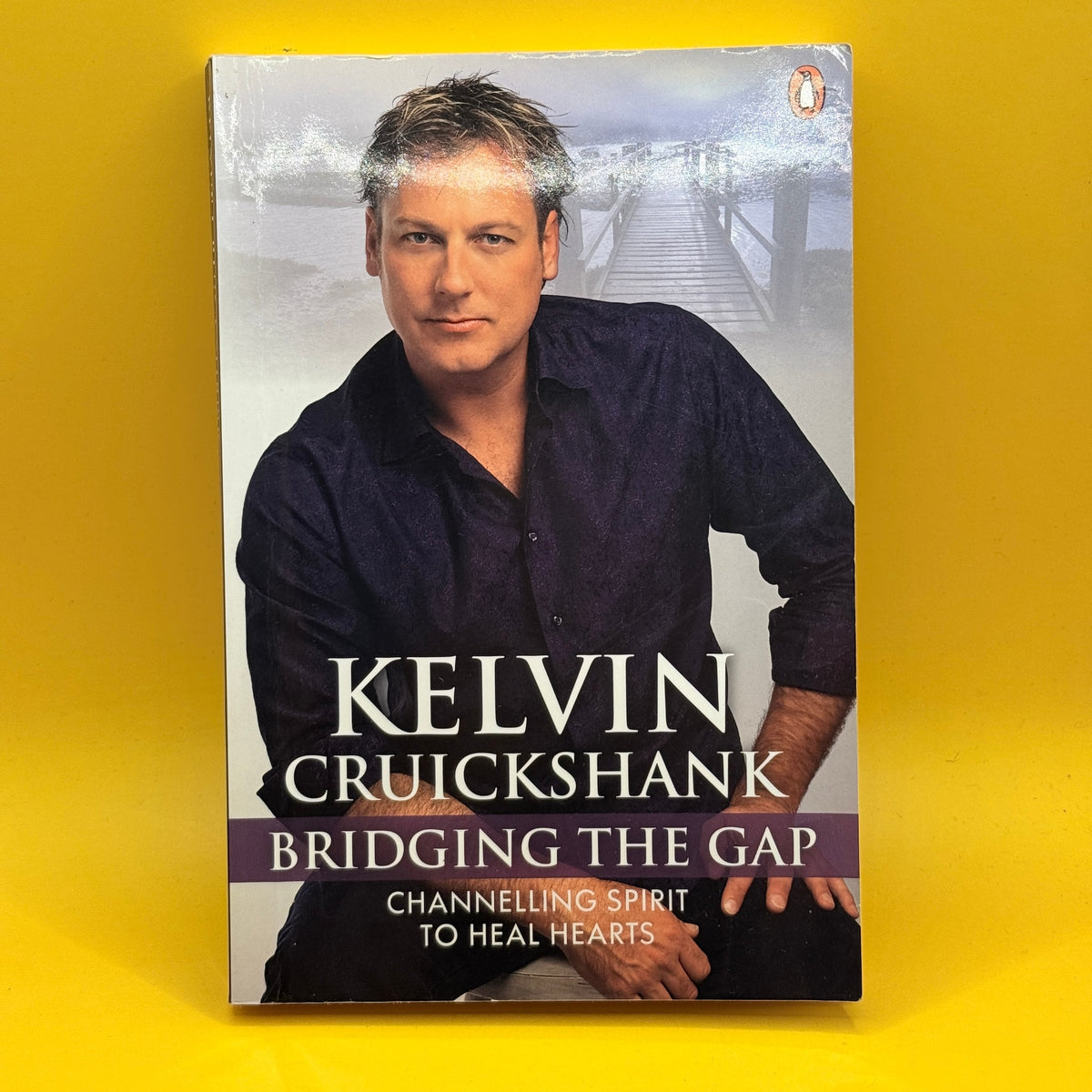 Bridging the Gap: Channelling Spirit to Heal Hearts by Kelvin Cruickshank