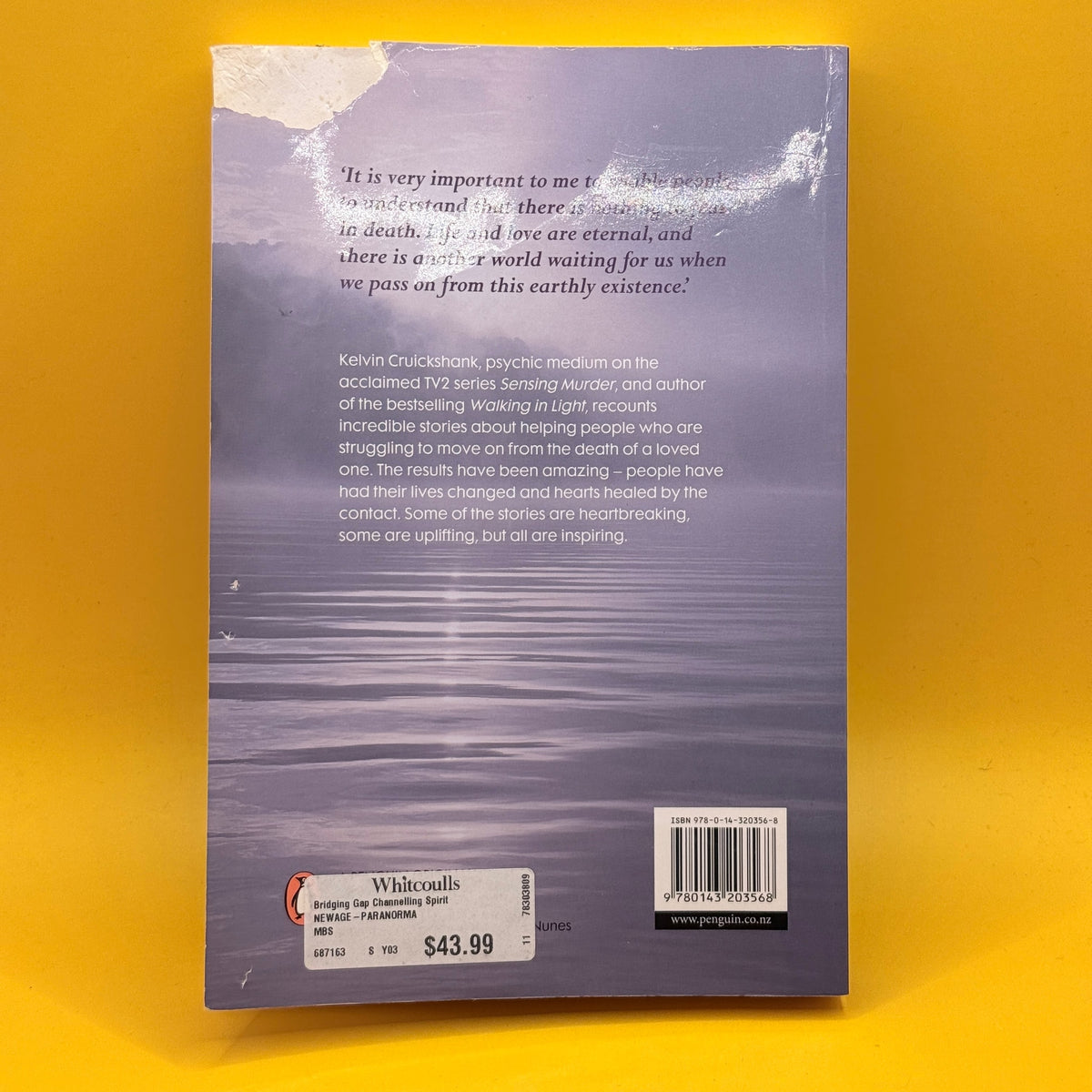 Bridging the Gap: Channelling Spirit to Heal Hearts by Kelvin Cruickshank